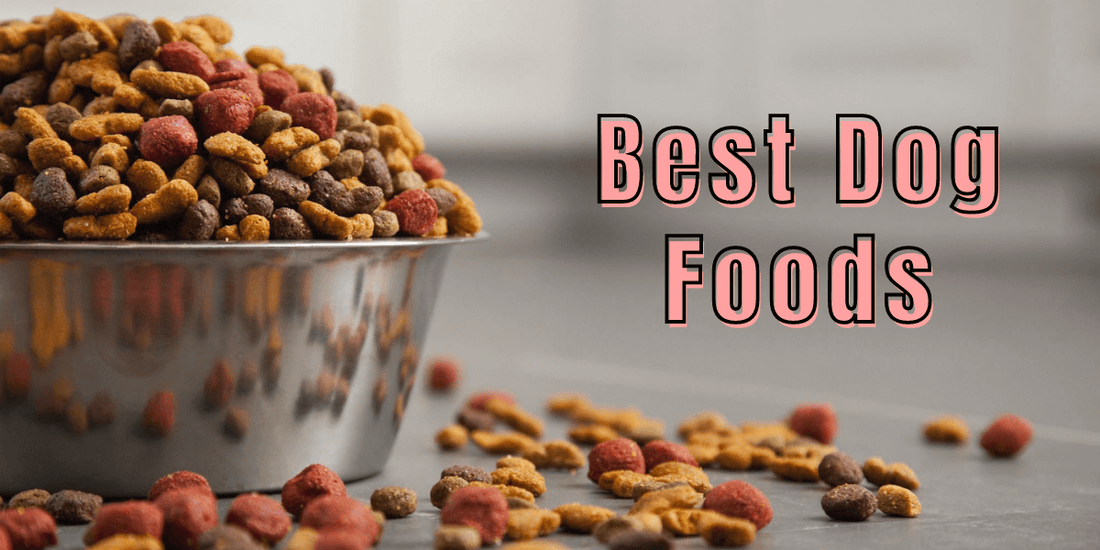 The Ultimate Guide to Choosing the Right Pet Food