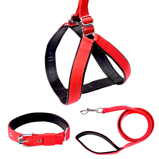 Padded Leash, Collar and Harness Set