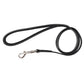 Leather Leash