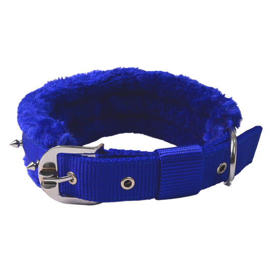 Dog Spike Collar