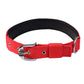 Padded Leash, Collar and Harness Set