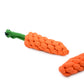 Carrot chew Pet Toy pack of 2