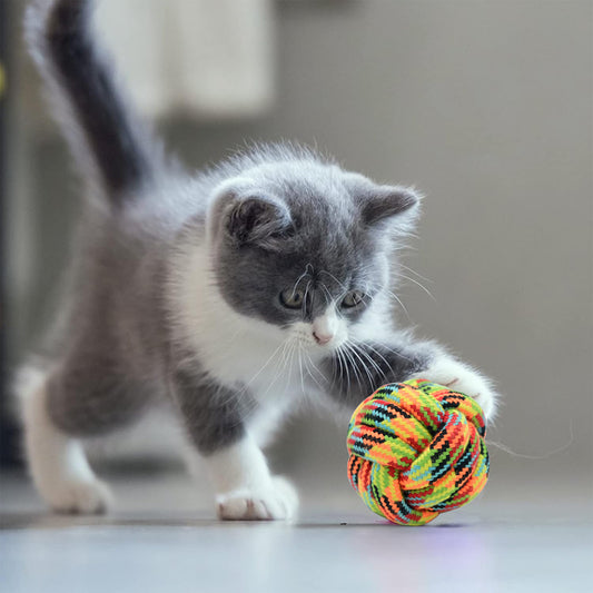 Pet Rope Ball