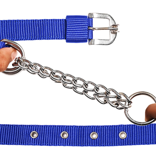 Dog Choker collar