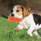 Carrot chew Pet Toy pack of 2