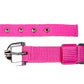 Nylon Collar Leash