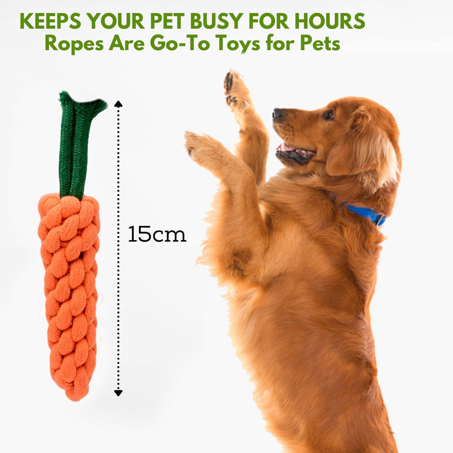 Carrot chew Pet Toy pack of 2