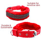 Nylon Fur Leash, Collar, Harness Set