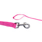 Nylon Collar Leash