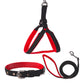 Padded Leash, Collar and Harness Set